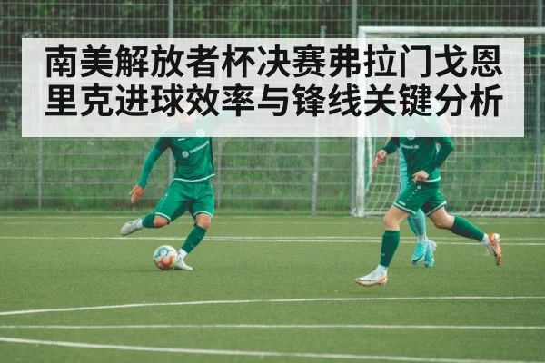 南美解放者杯决赛弗拉门戈恩里克进球效率与锋线关键分析